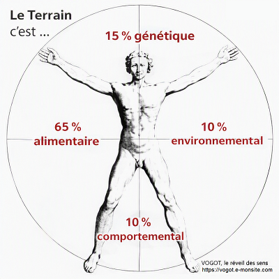 Le terrain c est