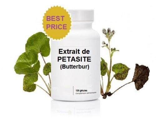 Petasite extrait