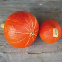 Semences bio / Graines / Potagères